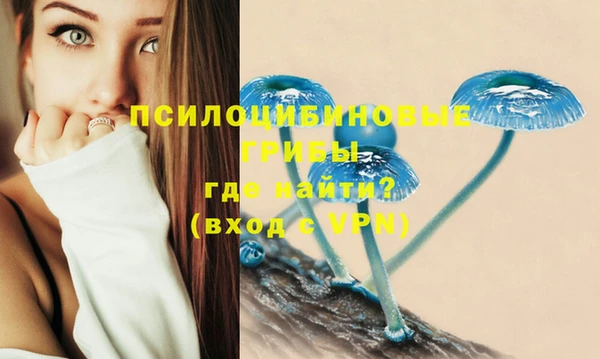 кокаин Алексин