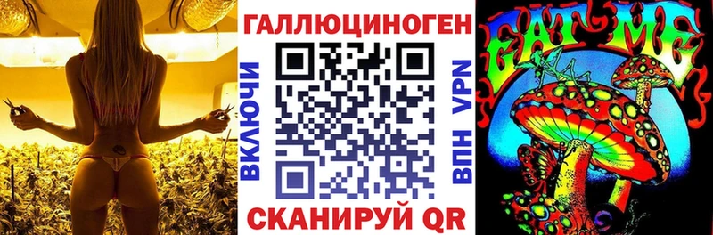 Псилоцибиновые грибы Cubensis  Ковылкино 